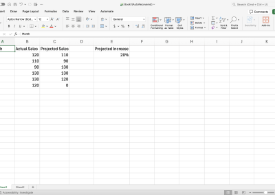 Excel spreadsheet