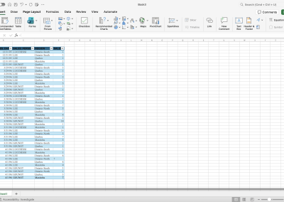 Excel spreadsheet